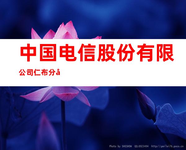 中国电信股份有限公司仁布分公司