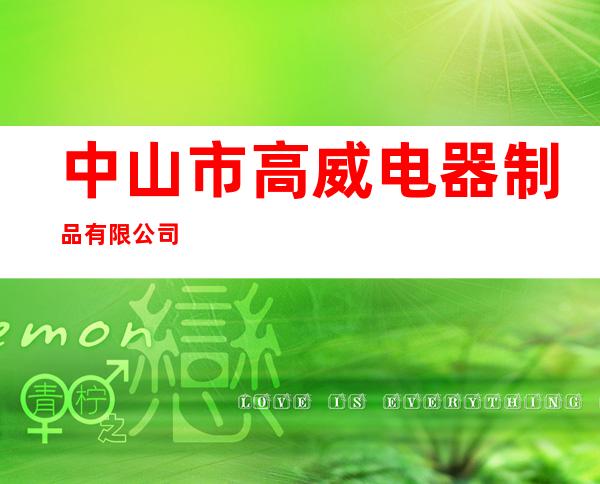 中山市高威电器制品有限公司