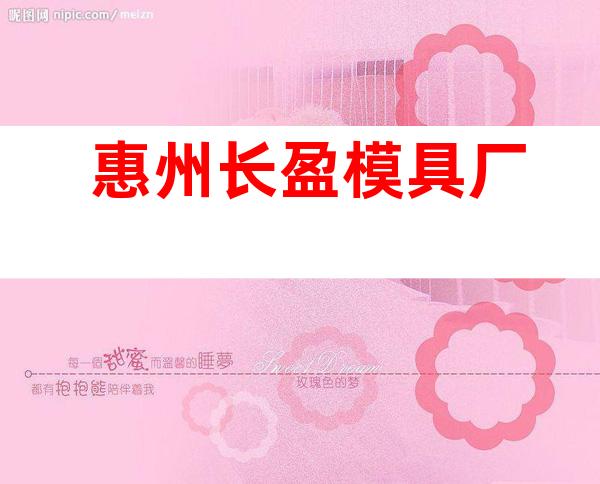 惠州长盈模具厂