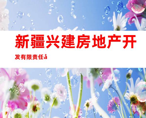 新疆兴建房地产开发有限责任公司